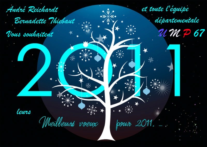 Meilleurs Voeux pour 2011